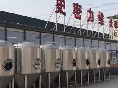 丰台精酿啤酒设备厂—市场规模与跨界新需求